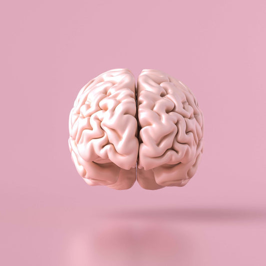 Healthy Brain-Boosting Habits