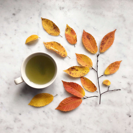 Benefits of Green Tea Extract