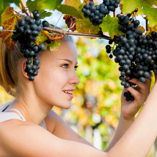 Grape Seed Extract: The Beauty Secret for Radiant Skin