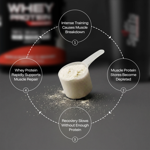 Whey Protein Powder