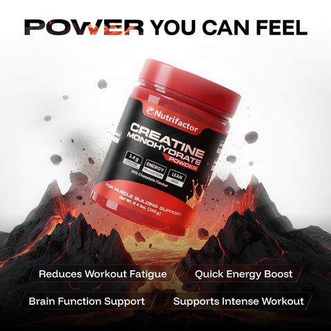Creatine Monohydrate Powder