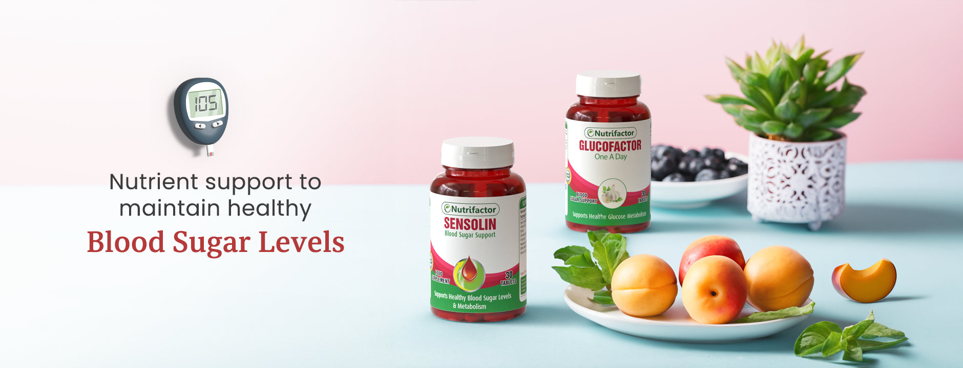 Blood Sugar Support