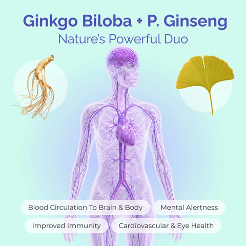 Ginkgo Focus