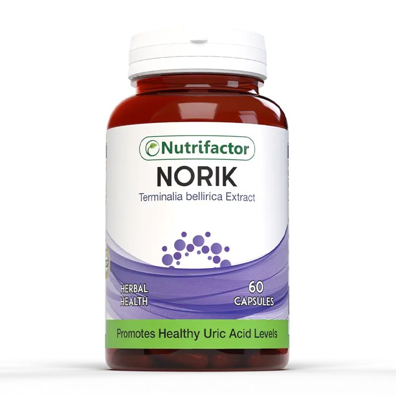 Norik 60